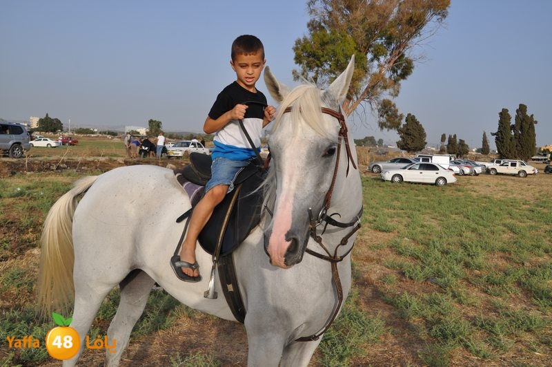 kheil sebaq (27).JPG